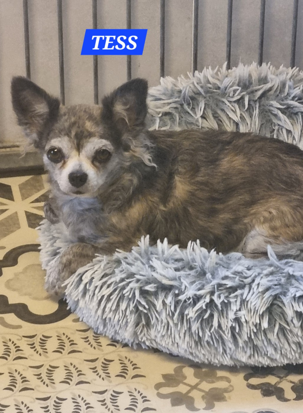 tess Des Punchy Diamonds